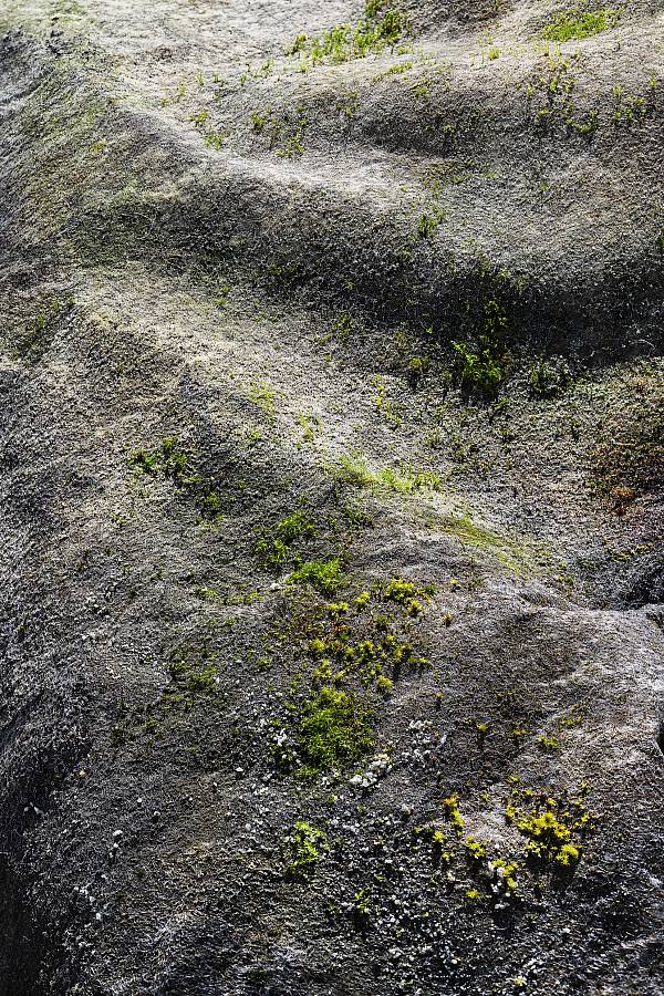 Rhonegletscher . Epiphytische Landschaft . 2024