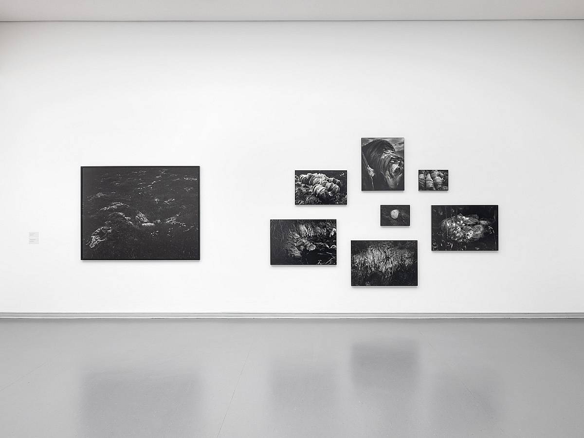 Samsö . In: Thomas Wrede . Sceneries . Von der Heydt-Kunsthalle . Wuppertal . 2018