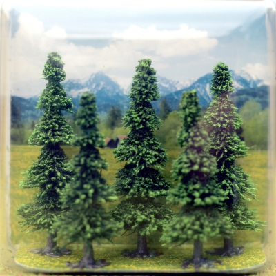 Wrapped Landscapes