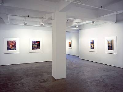 Thomas Wrede . Domestic Landscapes . Cristinerose Gallery . New York . 2001